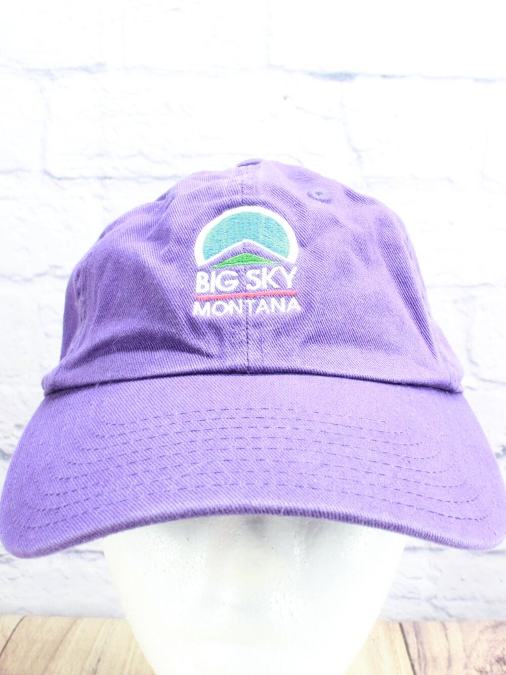 American Needle Big Sky Montana Travel Baseball Hat Cap Purple Cotton Strapback
